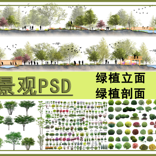景观PSD免抠素材:绿植立面，绿植剖面丨PS素材-拾光资源网丨专注素材资源|软件|软件插件|软件问题|软件教程|Adobe软件|免费下载