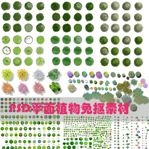 PSD小清新平面植物素材丨PS素材-拾光资源网丨专注素材资源|软件|软件插件|软件问题|软件教程|Adobe软件|免费下载
